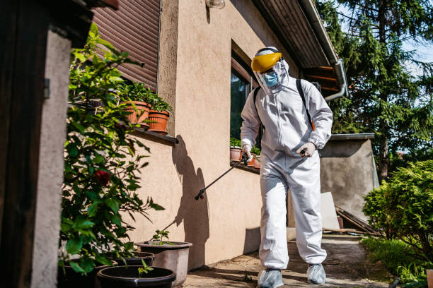 Reliable Goodman, MO Pest Control Solutions