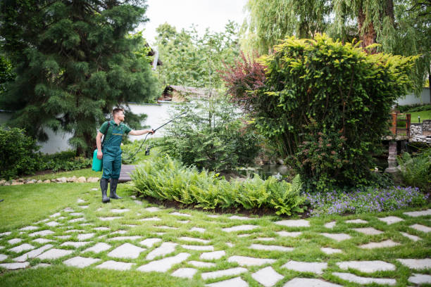 Best Affordable Pest Control Services  in Goodman, MO