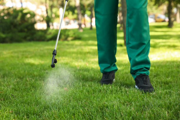 Best Rat Extermination Near Me  in Goodman, MO