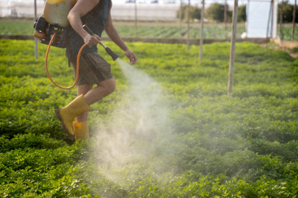 Best Best Pest Control Companies  in Goodman, MO