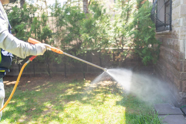 Best Termite Control Services  in Goodman, MO