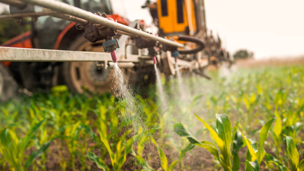 Best Mosquito Control Services  in Goodman, MO